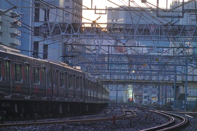 DSC03080.JPG