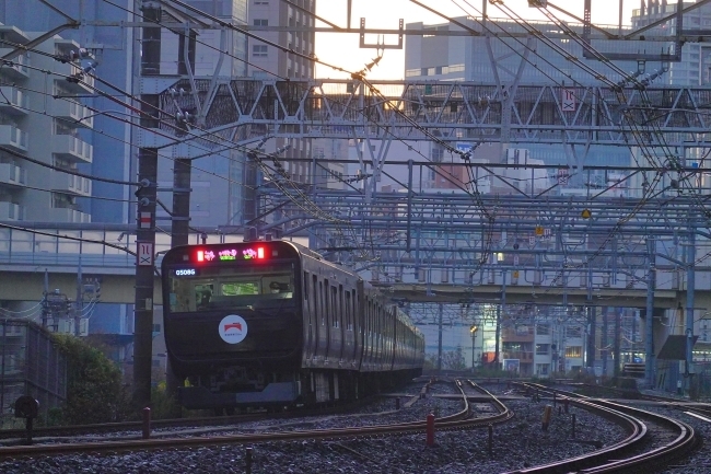 DSC03083.JPG
