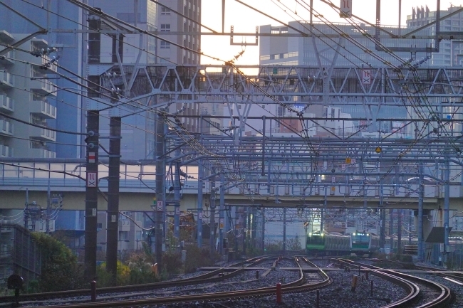 DSC03097.JPG