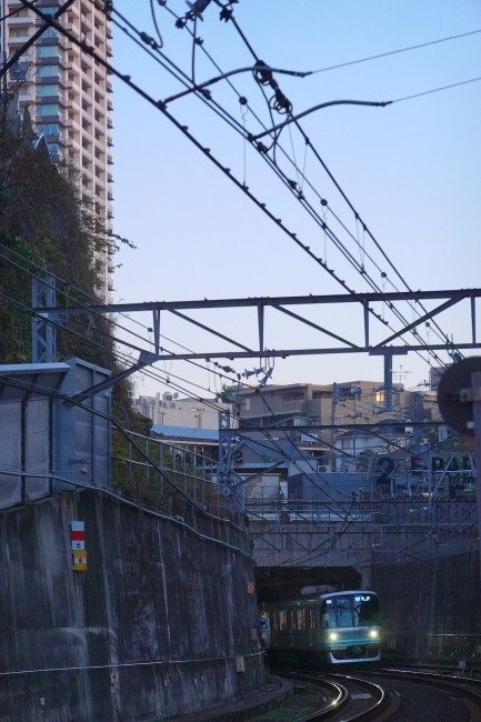 DSC03120.JPG