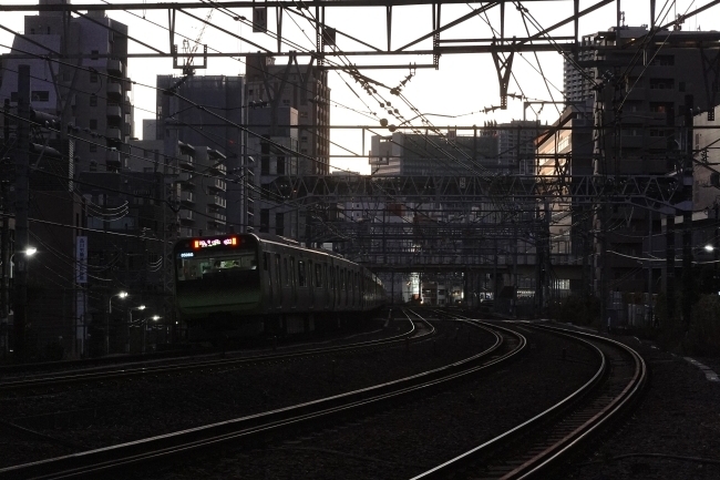 DSC03310.jpg