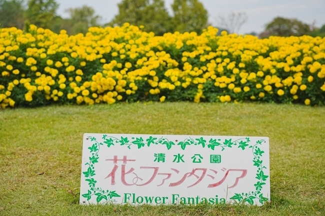 DSC03325.JPG