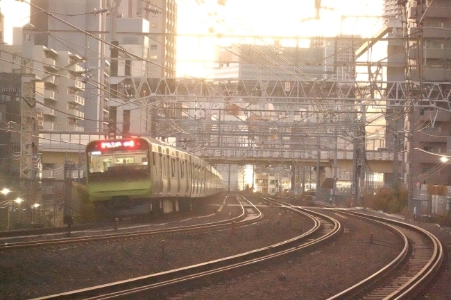DSC03374.jpg