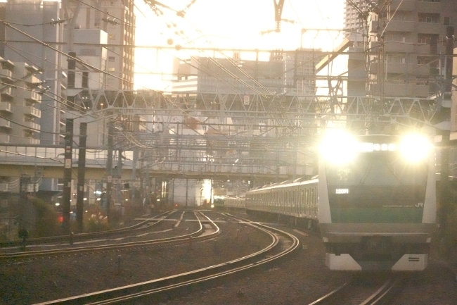 DSC03389.jpg