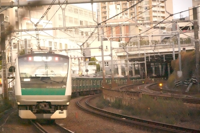 DSC03392.jpg
