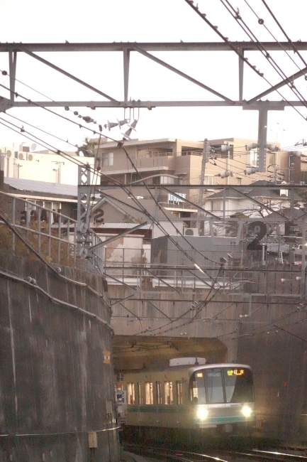 DSC03400.jpg