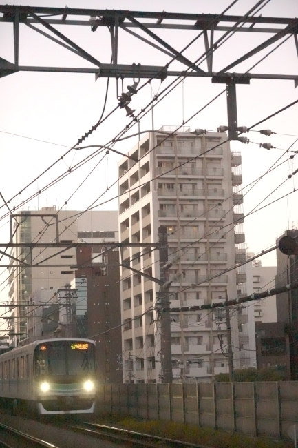 DSC03418.jpg