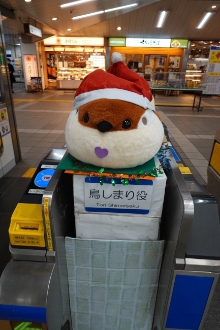 DSC03428.jpg