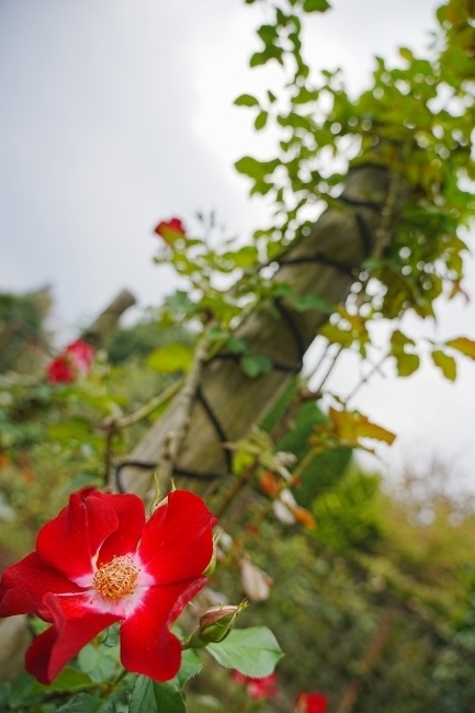DSC03431.JPG