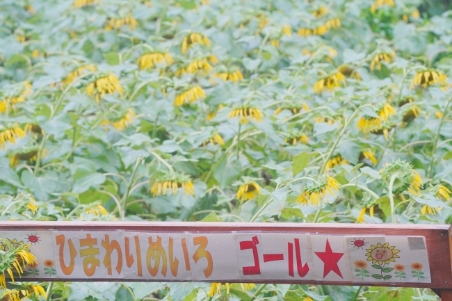 DSC03530.JPG