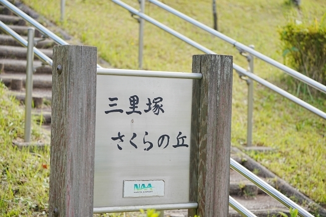 DSC03734.JPG