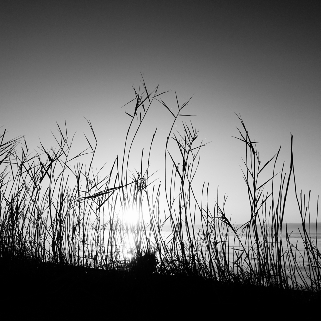 DSC03797-1+.JPG