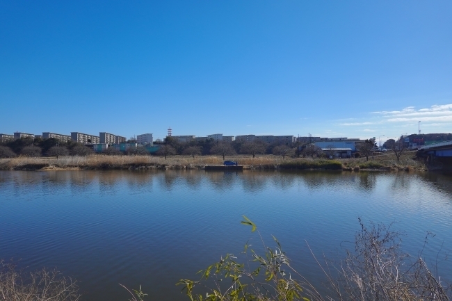 DSC03853.jpg