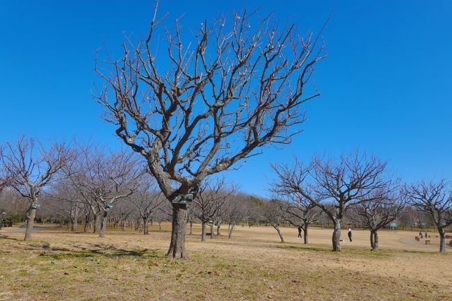 DSC03860.jpg