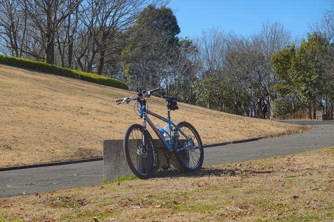 DSC03863.jpg