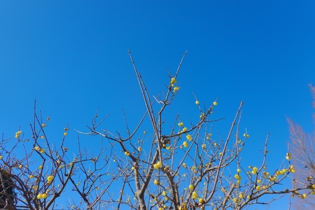 DSC03864.jpg