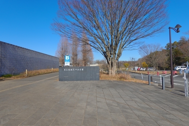 DSC03867.jpg