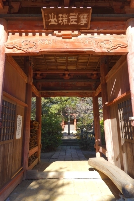 DSC03881.jpg