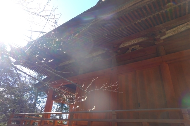 DSC03885.jpg