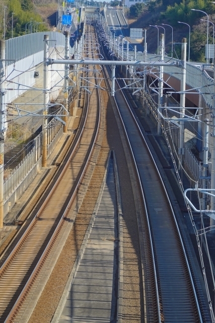 DSC03889.jpg