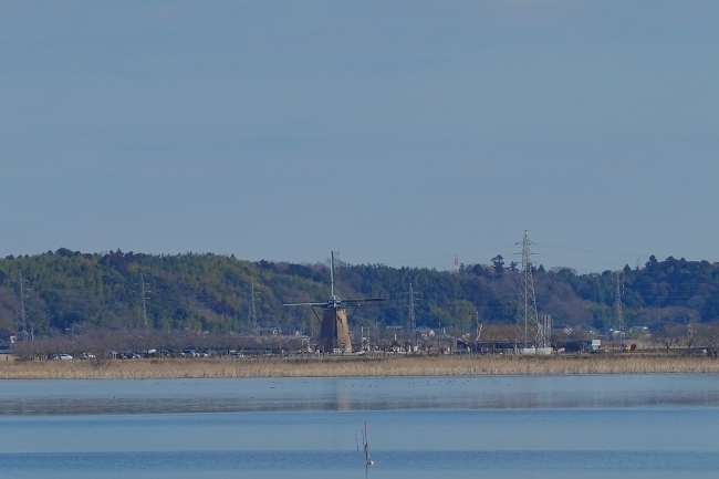 DSC03893.jpg