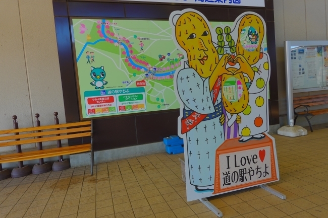 DSC03895.jpg