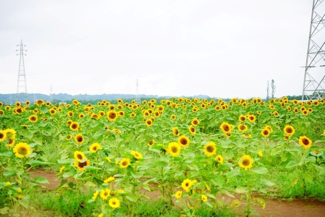 DSC04077.JPG