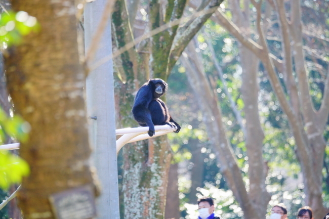 DSC04079+1.JPG