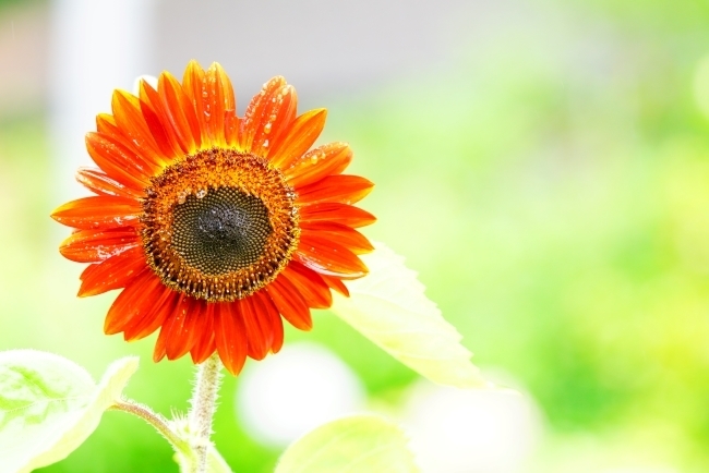 DSC04114.JPG