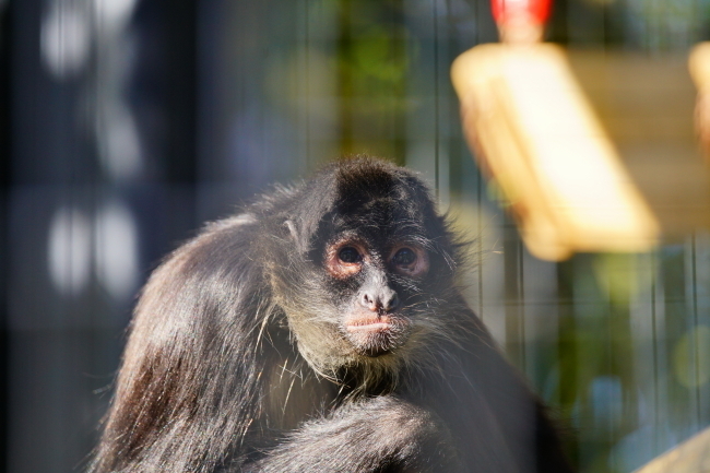DSC04133+1.JPG