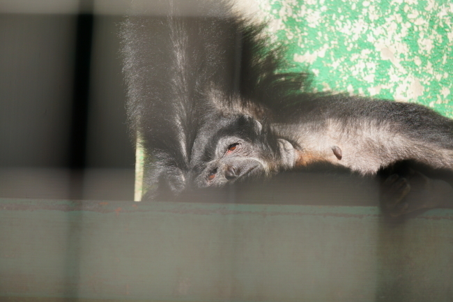 DSC04136+1.JPG