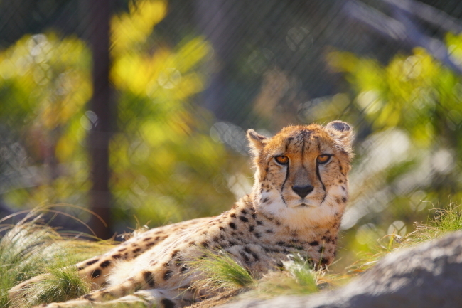 DSC04259+1.JPG