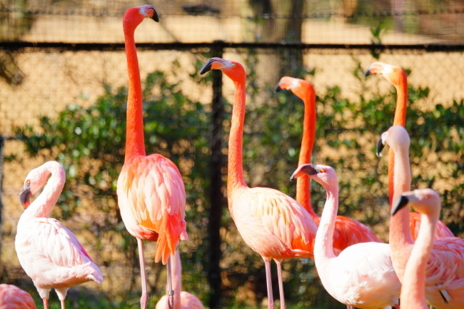 DSC04387+1.JPG