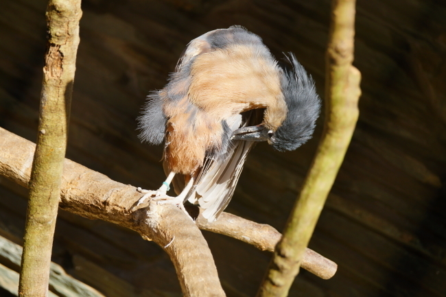 DSC04460+1.JPG