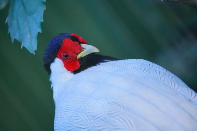 DSC04481+1.JPG