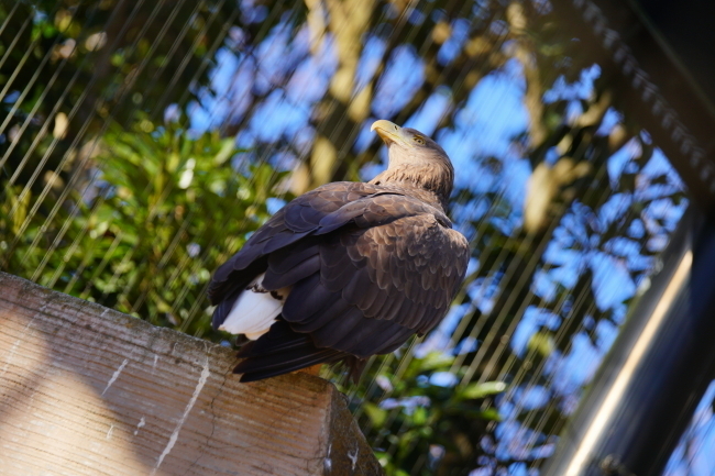 DSC04540+1.JPG