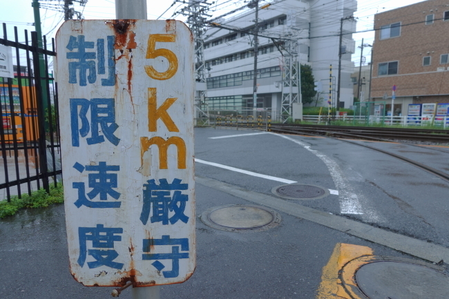 DSC04735.JPG