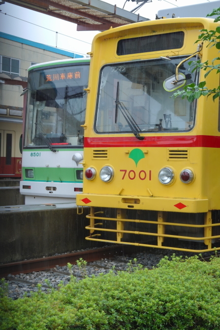 DSC04744.JPG