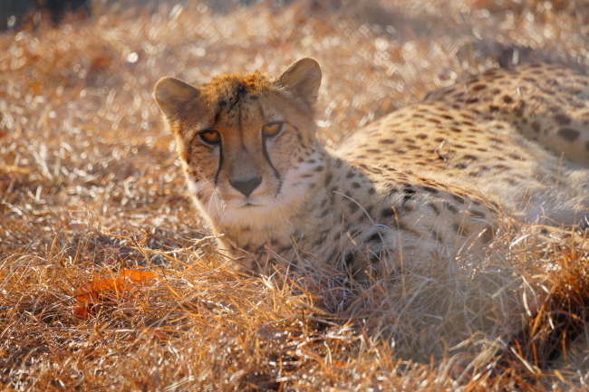 DSC04756+1.JPG