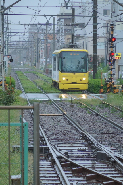 DSC04769.JPG