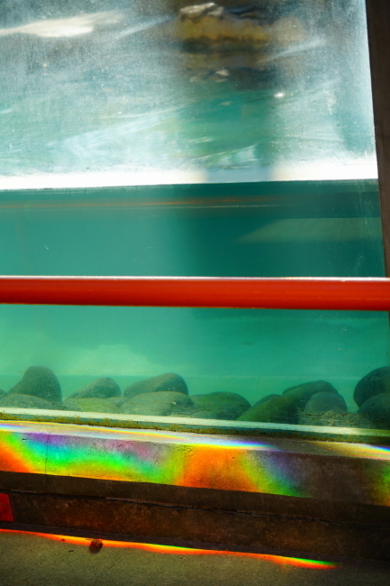 DSC04814+1.JPG