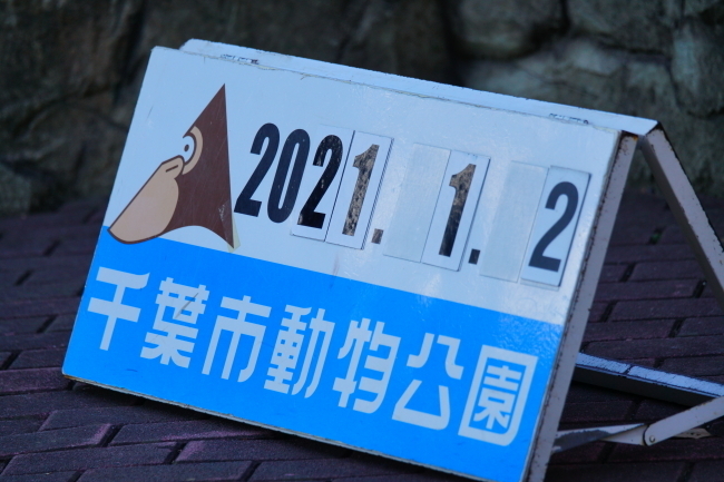 DSC04855+1.JPG