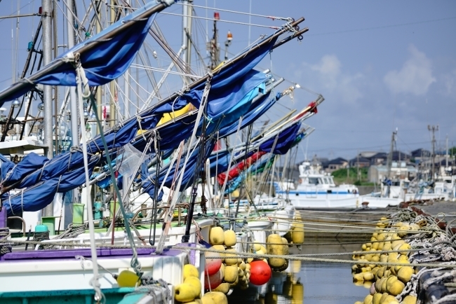 DSC04876.JPG