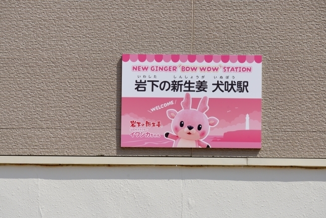 DSC04940.JPG