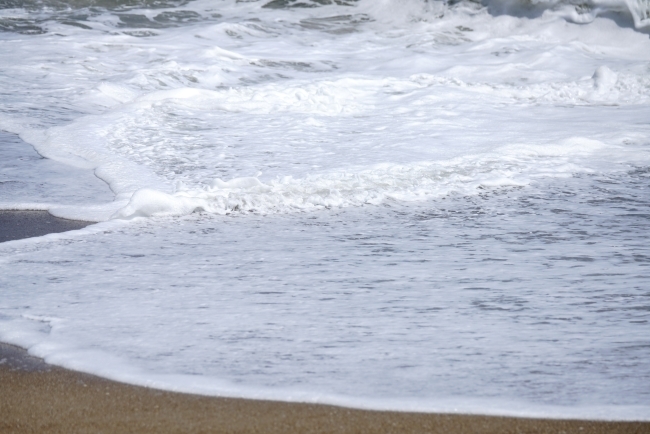 DSC04973.JPG