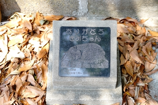 DSC05008.JPG