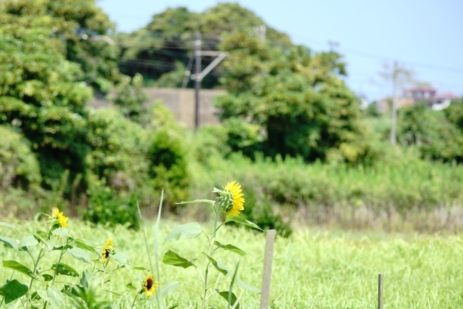 DSC05009.JPG
