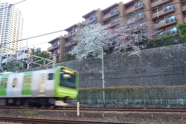 DSC05286.jpg