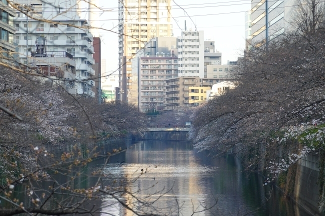 DSC05304.jpg