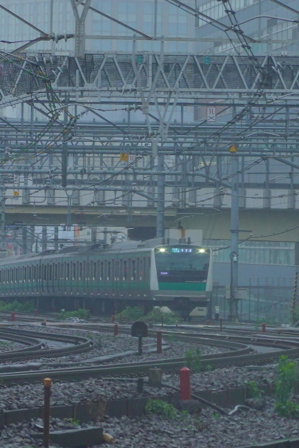 DSC05376+1.JPG